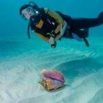 Why These Half Moon Cay Adventures Are Must-Dos for Every Traveler!