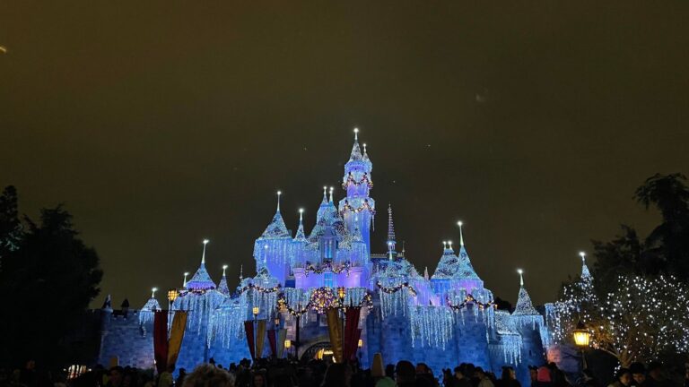 Disneyland Castle at night.
