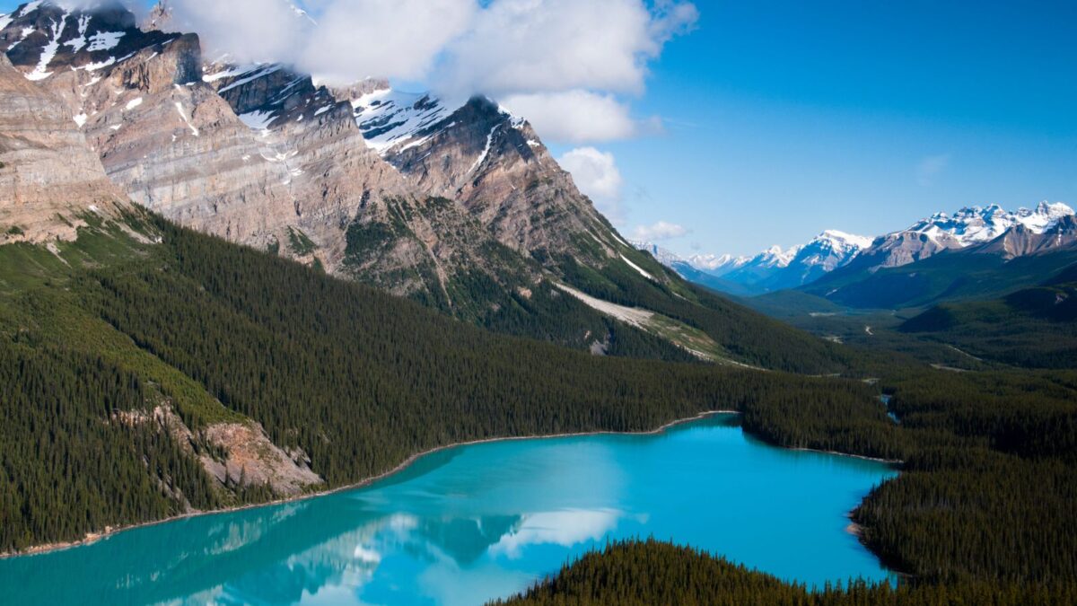 20 Breathtaking Lakes That Are True Natural Wonders! 11 The vibrant turquoise waters of Peyto Lake nestled in the Canadian Rockies, with lush forests leading to snow-dusted peaks.