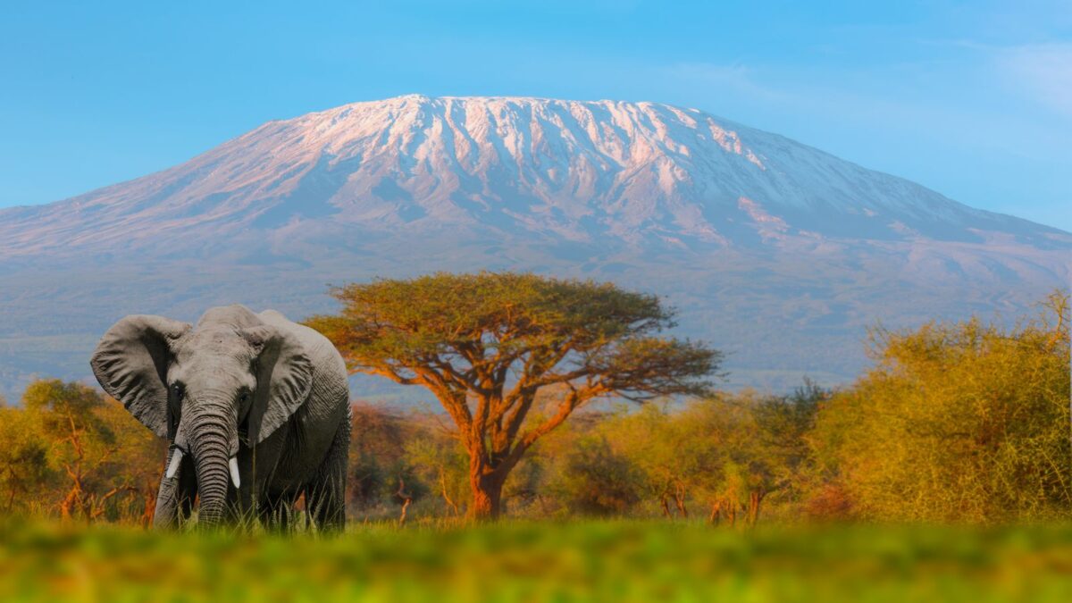 Discover the Real-Life Locations Behind Your Favorite Disney Films! 7 The Loin King