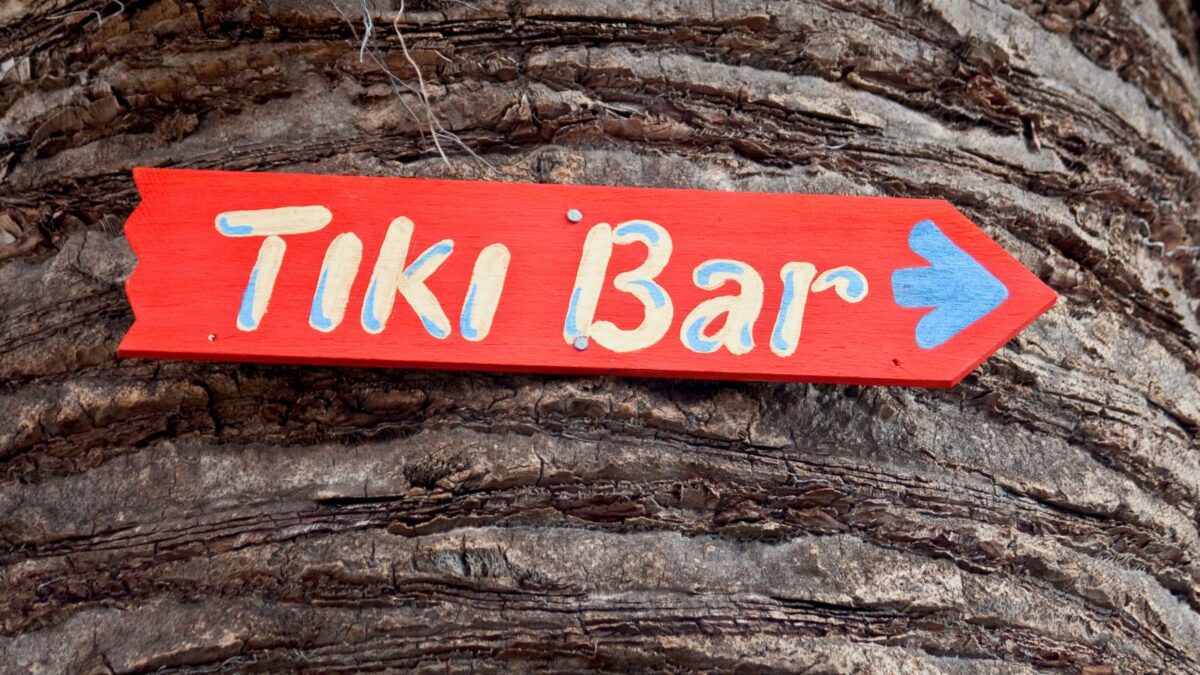 The Top 10 Bars You Need to Check Out in Nassau! 10 drinks 4