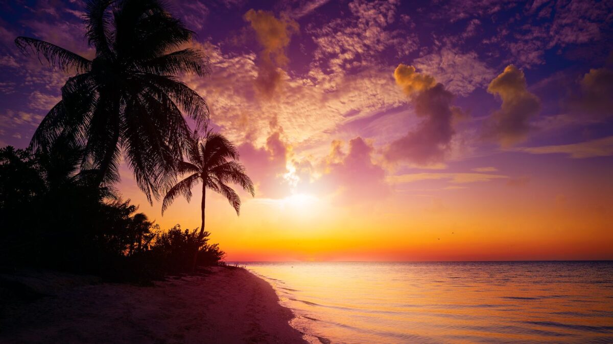 holbox