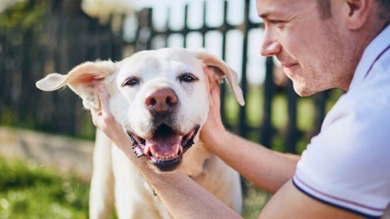 19 Ways Owning a Dog Can Ruin You
