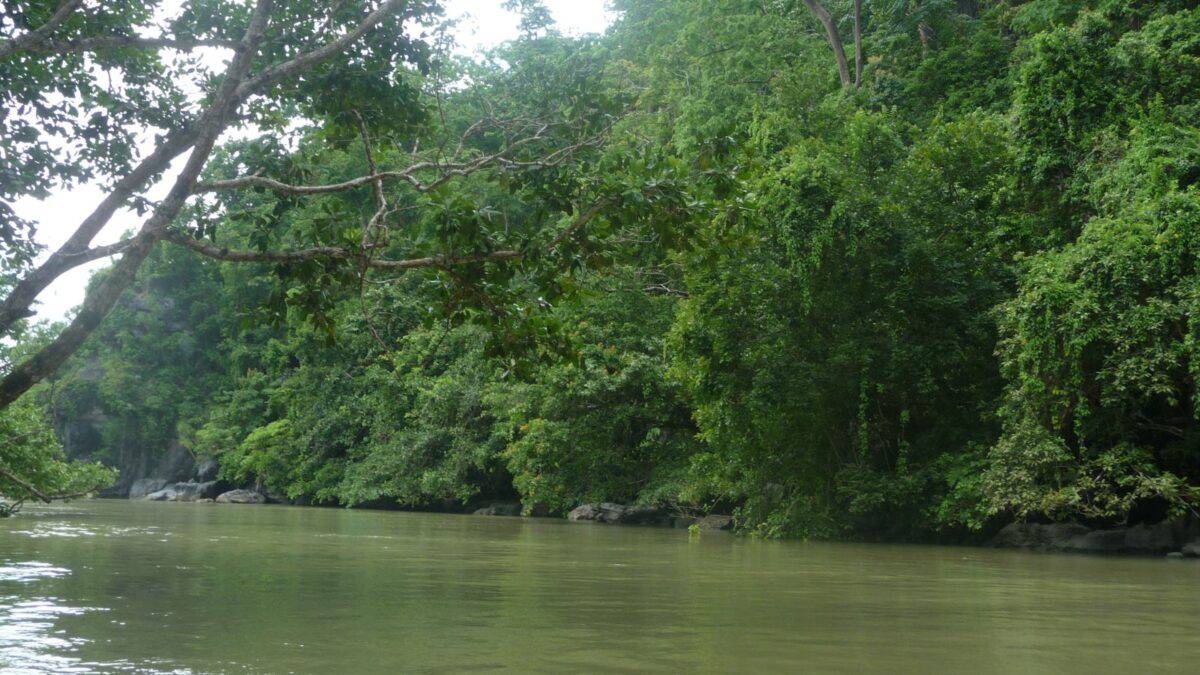 The Most Stunning National Parks Of The Philippines