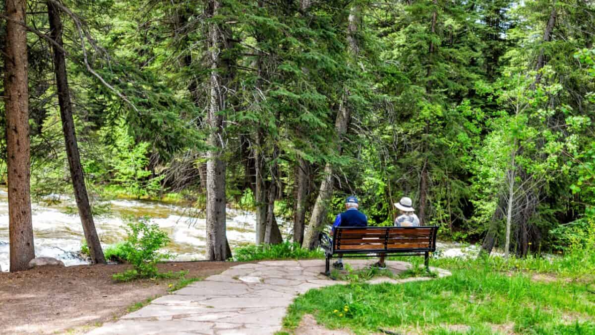 Two individuals enjoying a peaceful moment on a park bench by a flowing river, surrounded by lush green trees and the tranquility of nature.