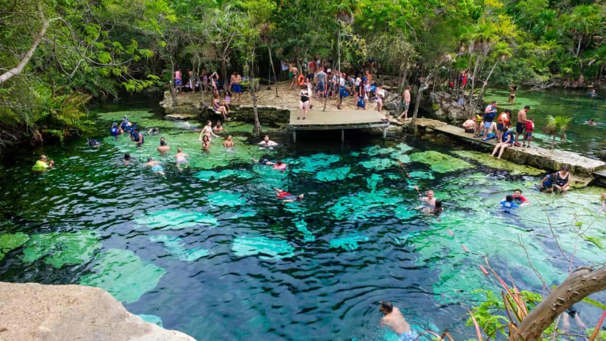 People swimming and relaxing at a natural spring surrounded by lush greenery on a sunny day.