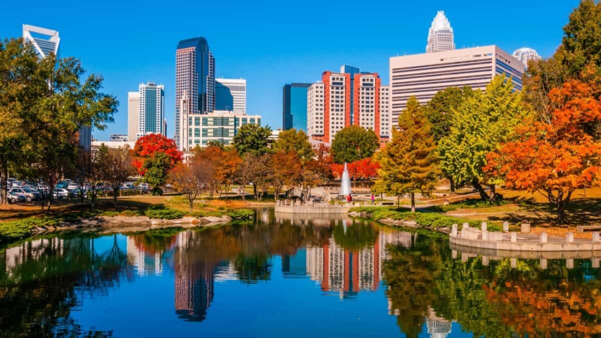 Autumn in the city: a serene urban park with vibrant fall foliage reflected in a tranquil pond, set against a backdrop of modern skyscrapers under a clear blue sky.