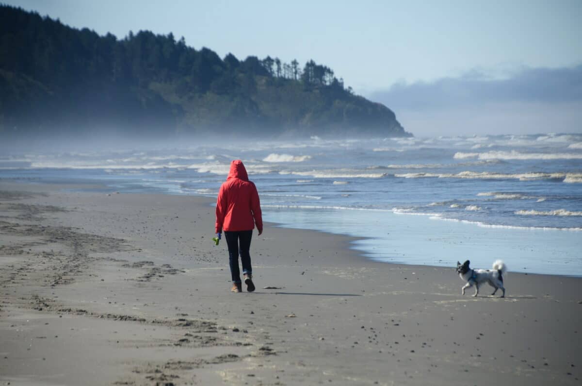 8 Hidden Beaches in Washington State That Will Captivate You! 9 Depositphotos 226374676 L