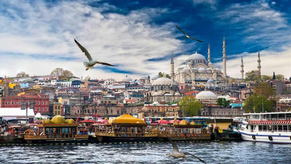 A view of Istanbul’s skyline from the waterfront, with seagulls in flight and a backdrop of layered city buildings in various colors, leading up to the grand Suleymaniye Mosque under a dramatic sky.