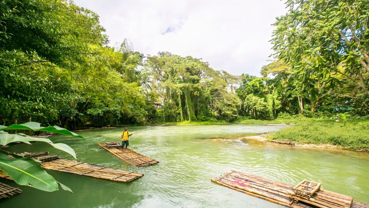 Bamboo rafts on a tranquil green river with a person standing on one, surrounded by lush tropical forest.