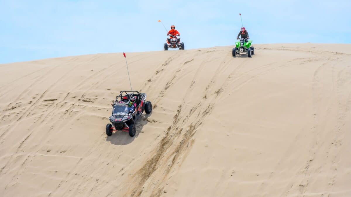 Off-road vehicles navigating the expansive Oregon Dunes; a side-by-side UTV leads the way followed by two ATVs, their tires carving patterns in the soft sand under a clear blue sky.