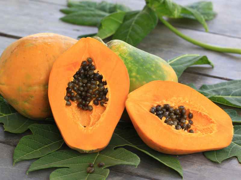 15 Dog-Friendly Fruits Your Pup Will Love 16 13 Fruits You Should NEVER Refrigerate
