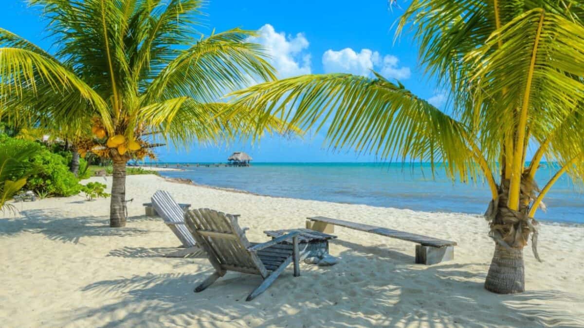 Discover the Central American Country You Need to Explore ASAP 9 A calm beach in Belize surrounded by coconut trees.