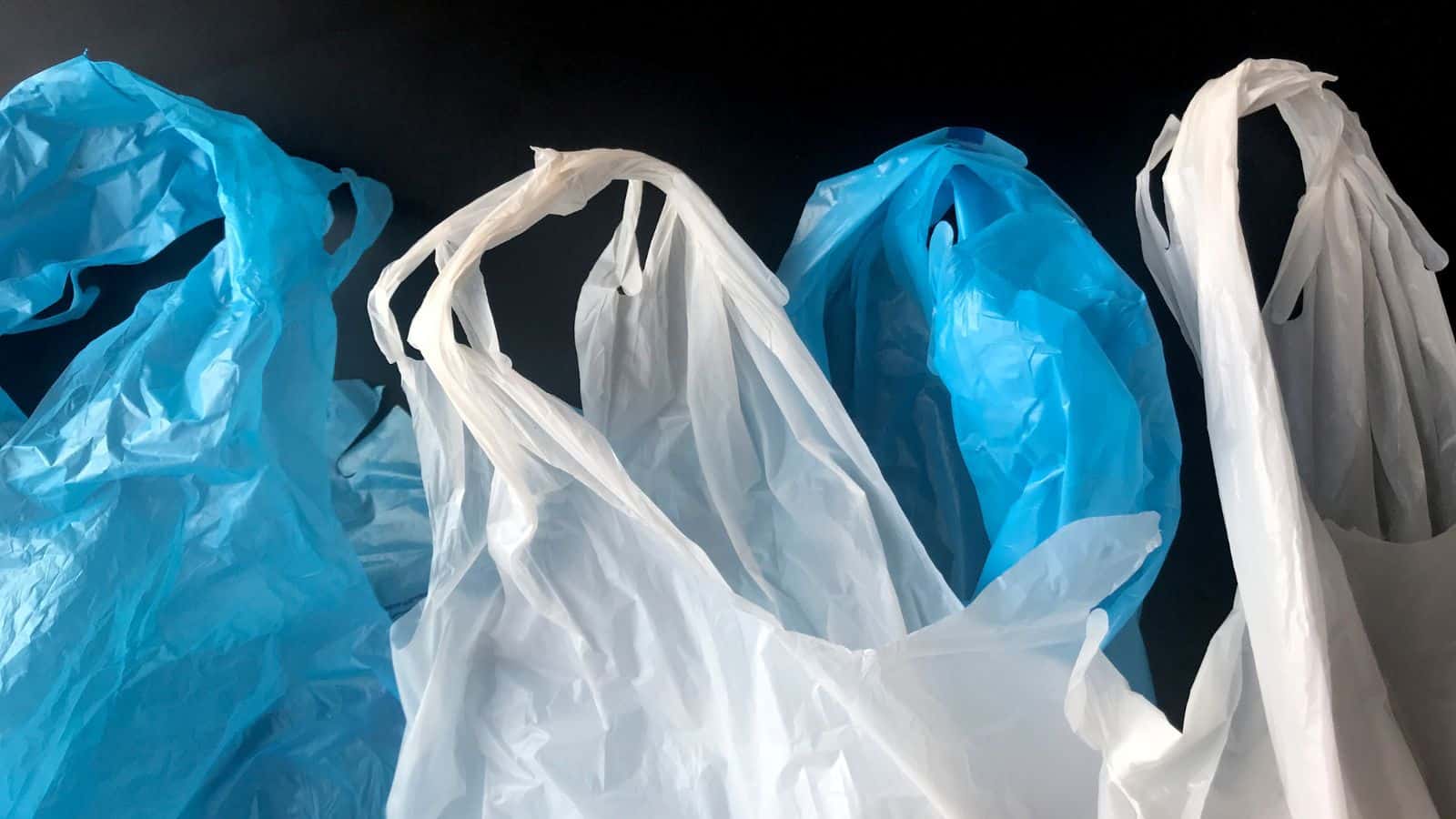 12 Items In The Kitchen That You Should Get Rid Of ASAP