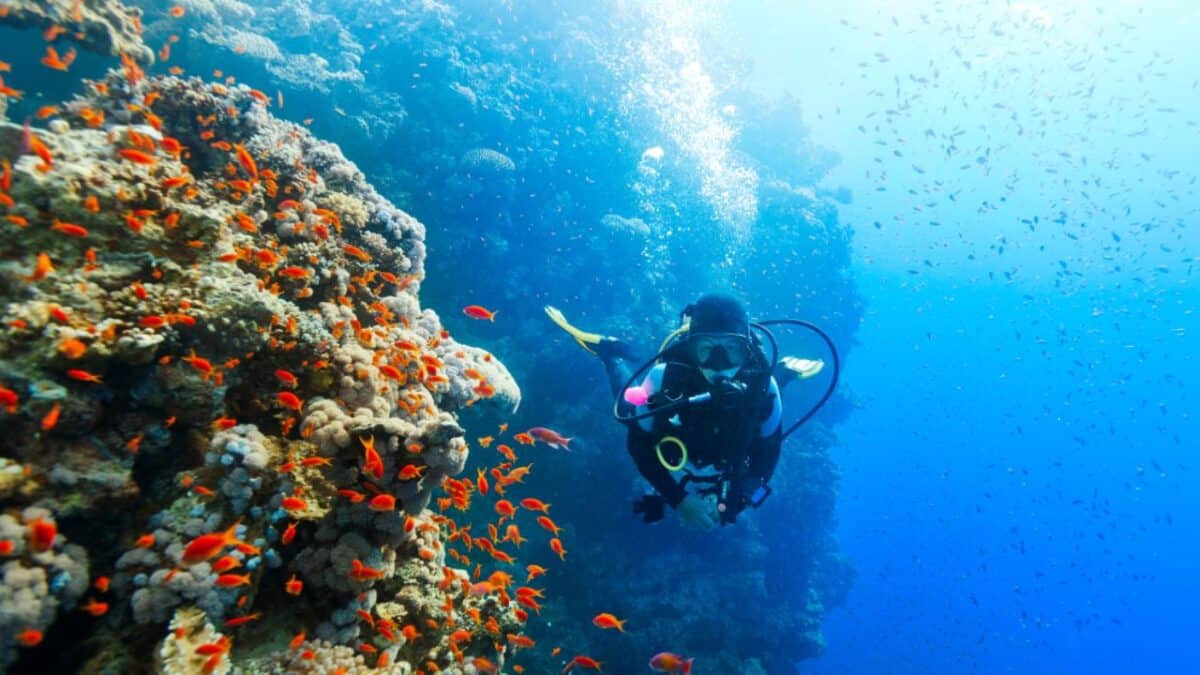 Discover the Central American Country You Need to Explore ASAP 12 Scuba diving in Belize.