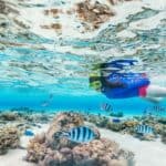 11 Aruba Activities That Are Perfect for Cruisers