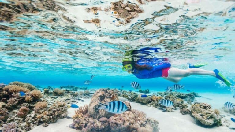 A young girl snorkels in clear, turquoise Caribbean waters, surrounded by a kaleidoscope of tropical fish.