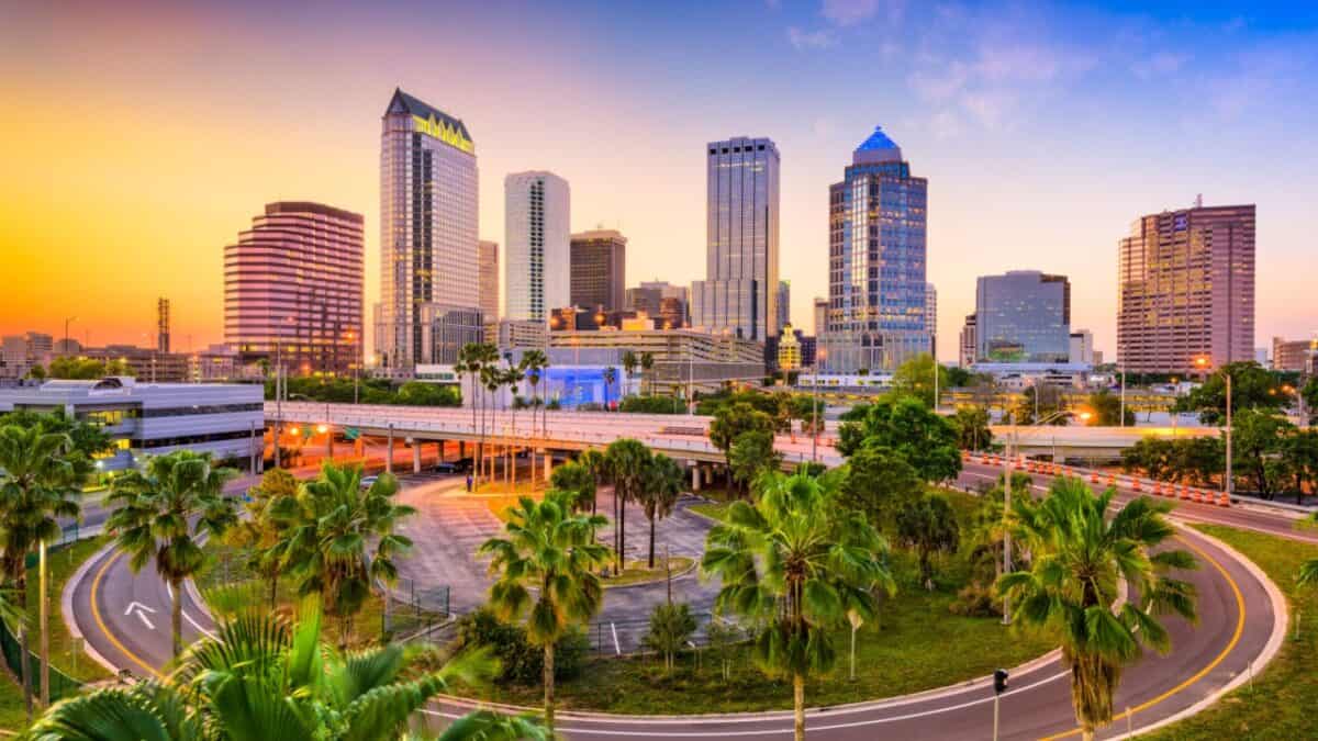 Golden twilight descends on a bustling city skyline, casting a warm glow over the sleek skyscrapers and the quiet streets below, while palm trees sway gently in the tranquil urban oasis.