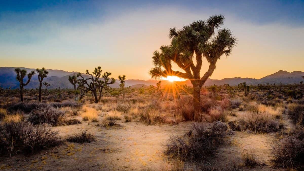 10 Jaw-Dropping National Parks That Will Dominate Your Instagram Feed 10 Untitled design 85