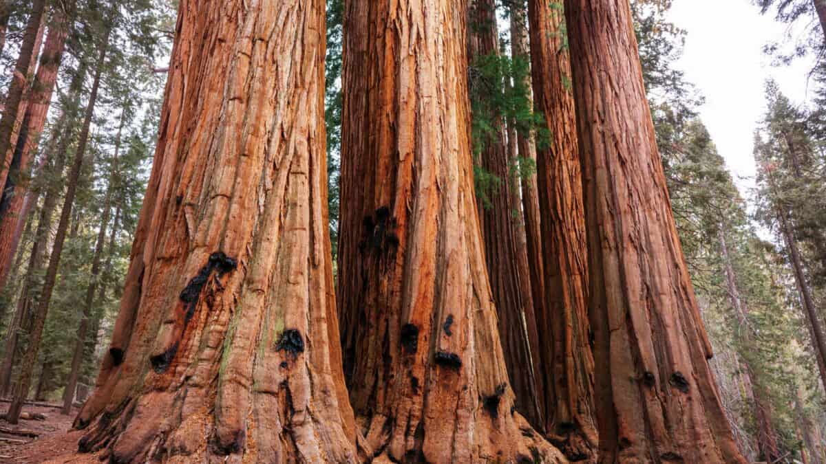 10 Jaw-Dropping National Parks That Will Dominate Your Instagram Feed 12 Untitled design 87