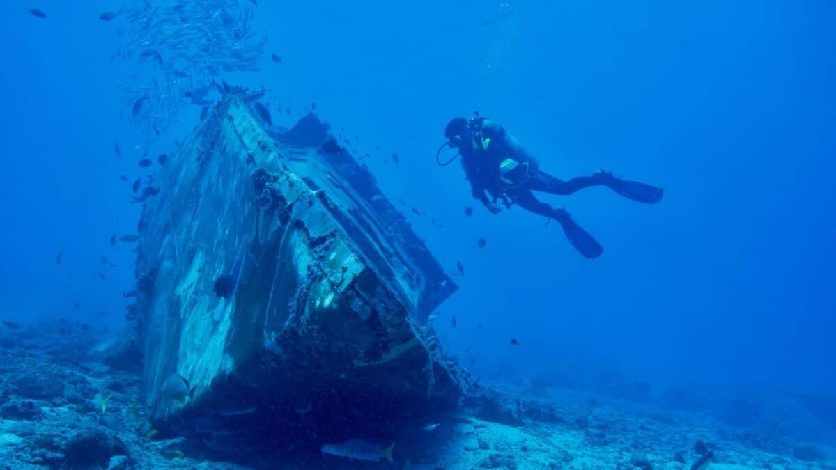 A diver explores near a sunken shipwreck surrounded by fish in the clear blue waters of Butler Bay.