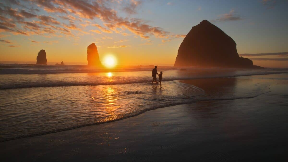 Silhouette of a person and dog walking on a beach at sunset, with sea stacks and colorful sky in the background.