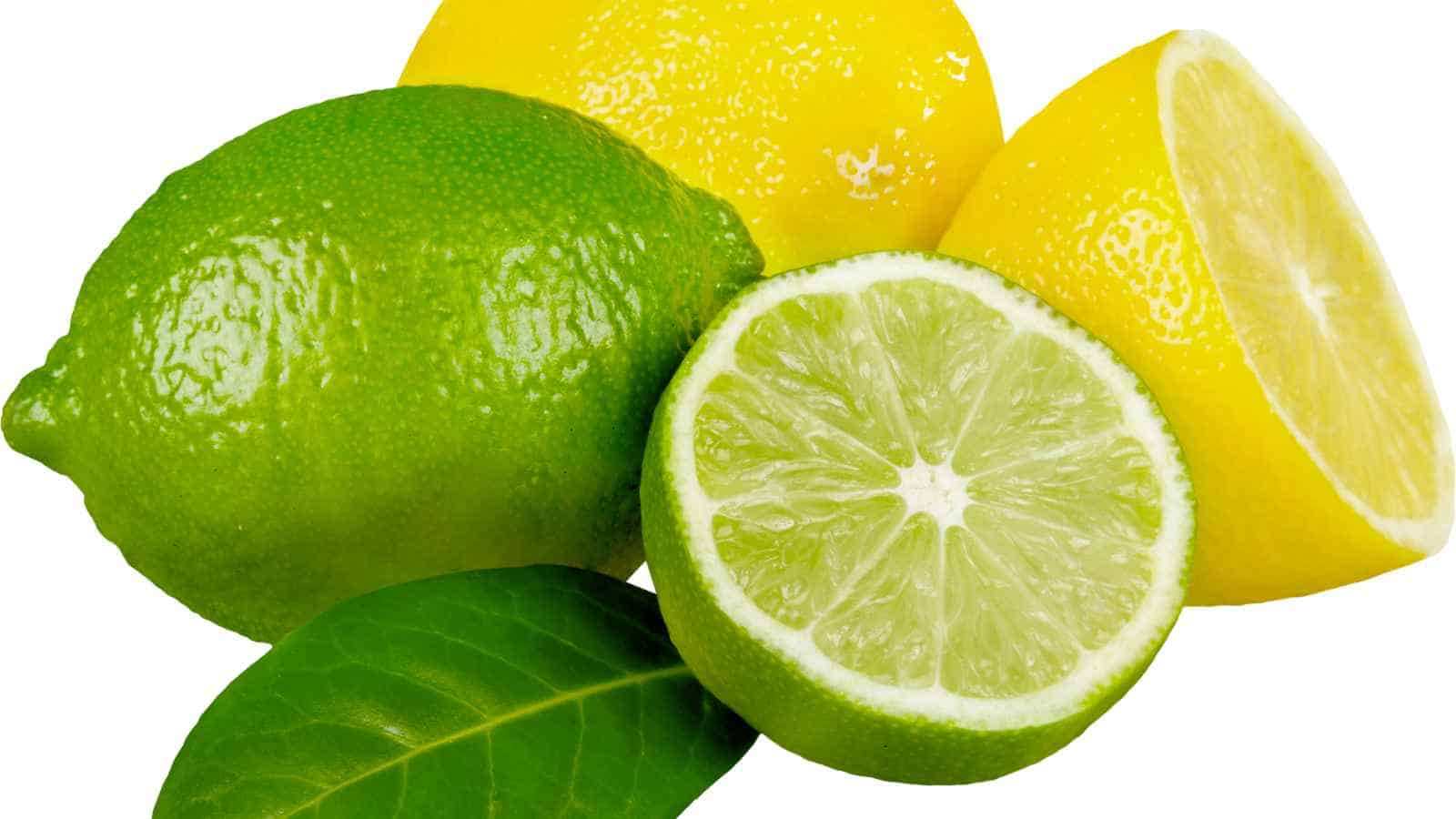 17 Facts About Food We Just Learned Last Year
