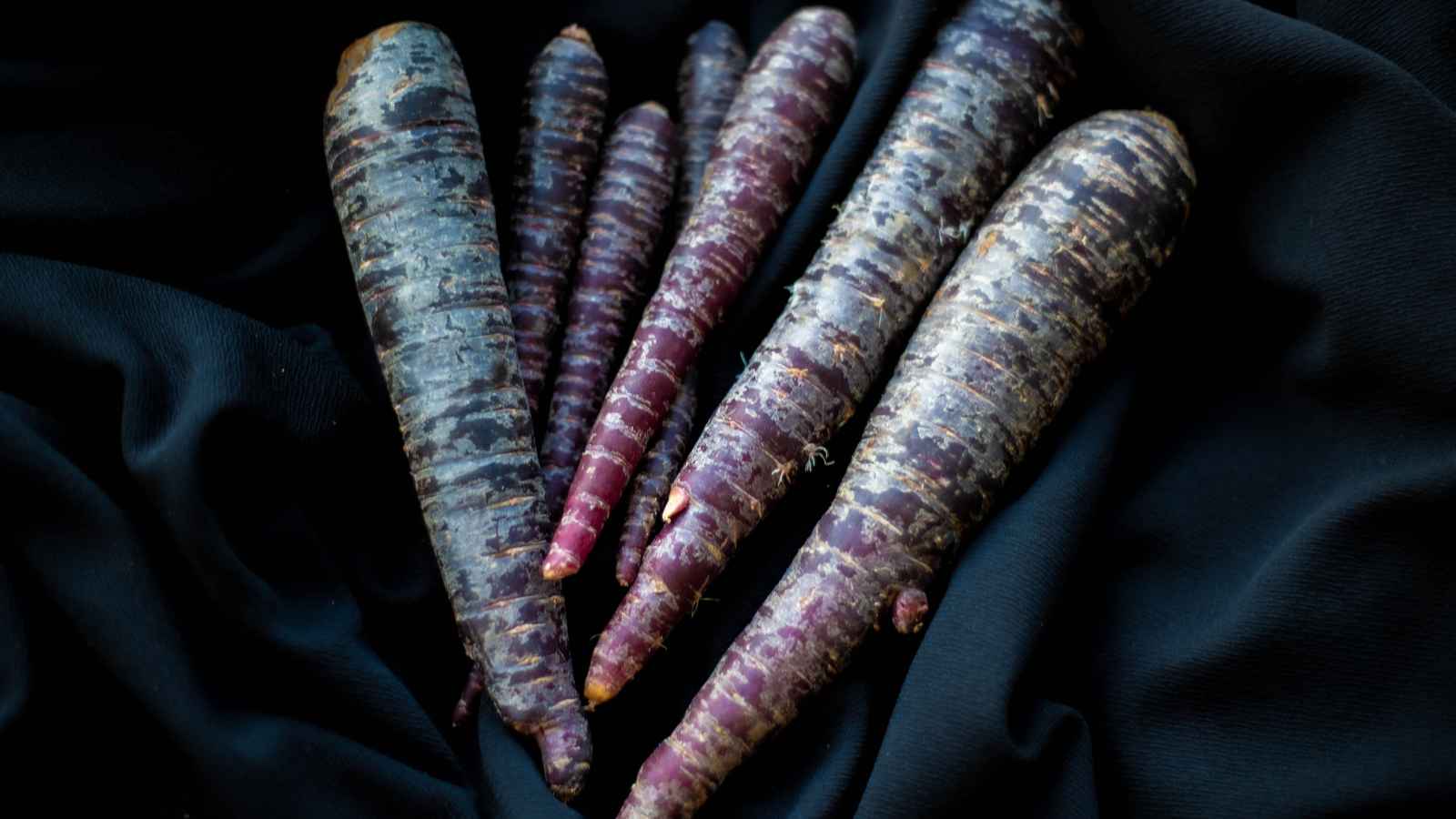 17 Facts About Food We Just Learned Last Year
