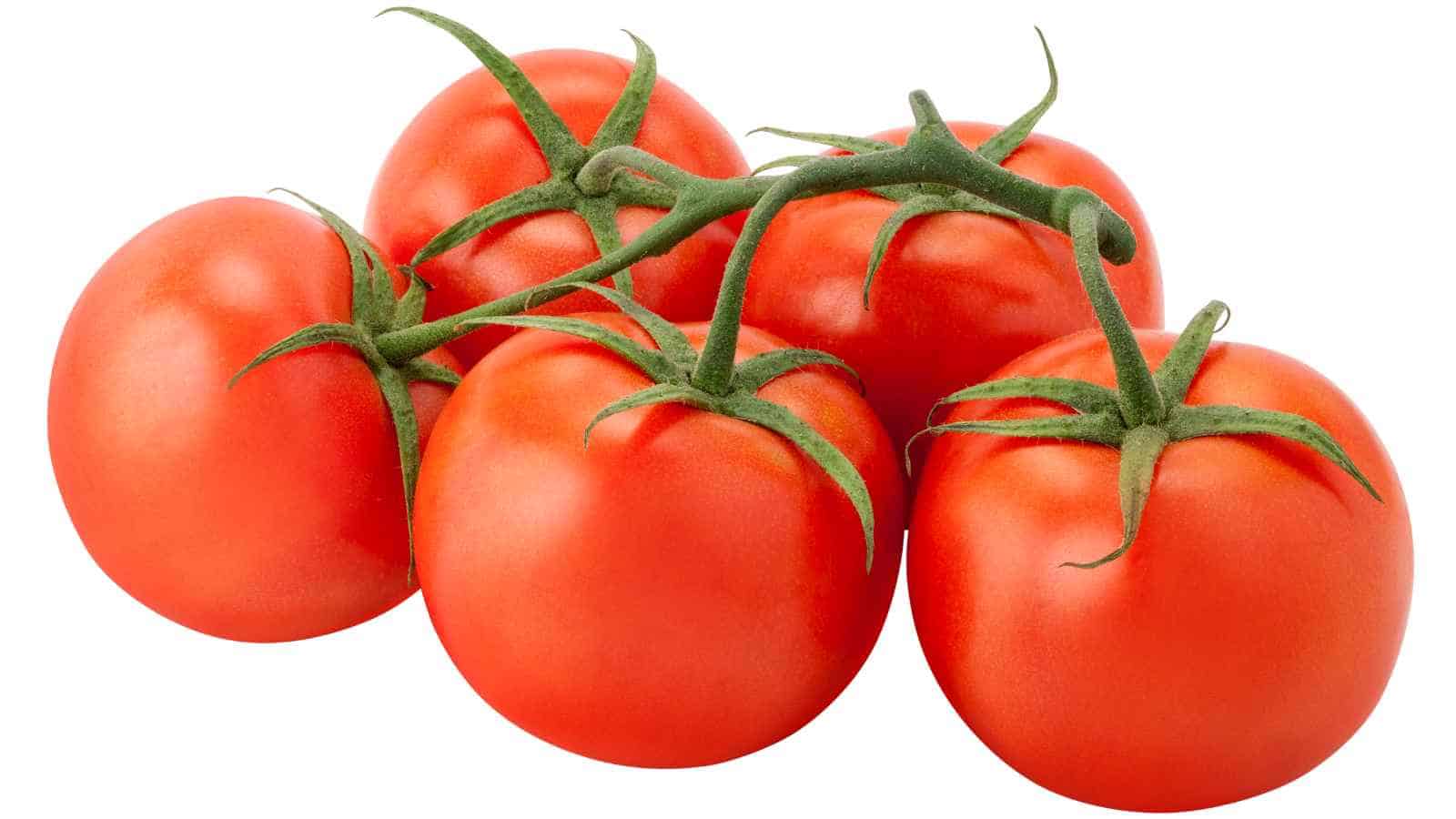 17 Facts About Food We Just Learned Last Year
