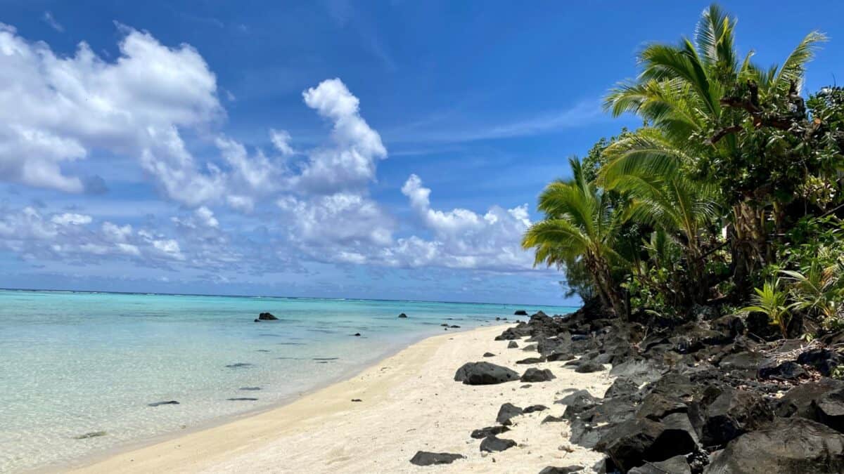 16 Survivor Locations that Would Actually Make Super Cool Vacation Destinations 10 White sand beach with clear waters of the beach surrounded by small trees.