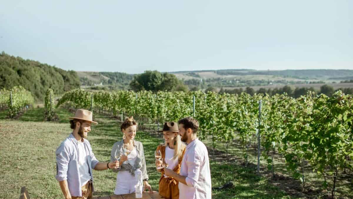 Two couples enjoying wine together at a table in a vineyard with rolling hills in the background.