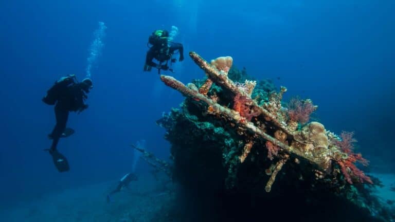 Two scuba divers exploring the coral-encrusted structure of the Celestia shipwreck in Bermuda's clear waters.