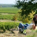 13 Unmissable Wineries in Florence for Wine Lovers!