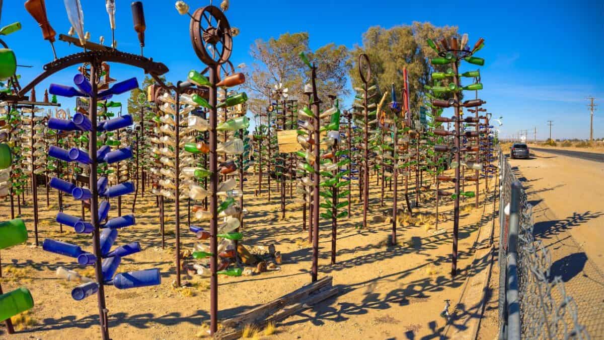 Rows of metal trees adorned with colorful glass bottles lining a roadside in a desert environment, under a bright blue sky.