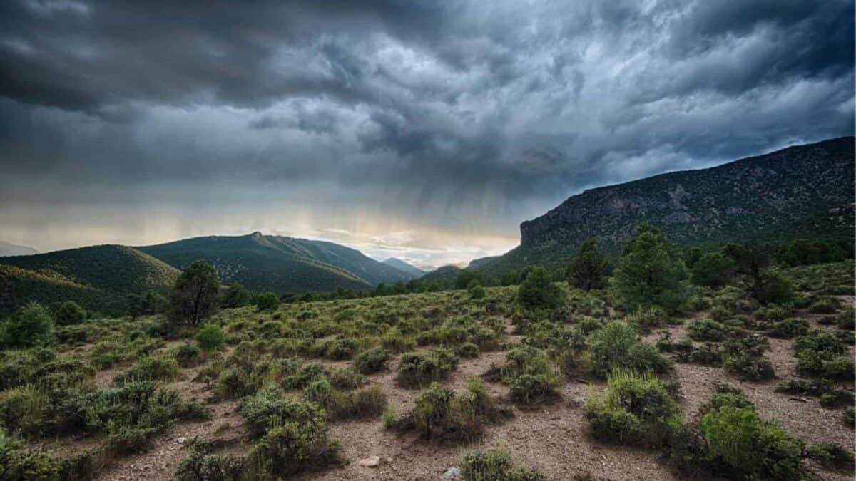 Storm clouds gathering over a desert landscape with green shrubs and distant mountains, with rays of sunlight breaking through the clouds.