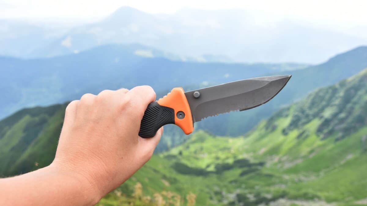 20 Ultimate No-Nos of Cruise Packing—Learn What's Banned 4 A person's hand holding a folding knife against a scenic mountainous backdrop. the mountains are lush and green under a hazy sky.