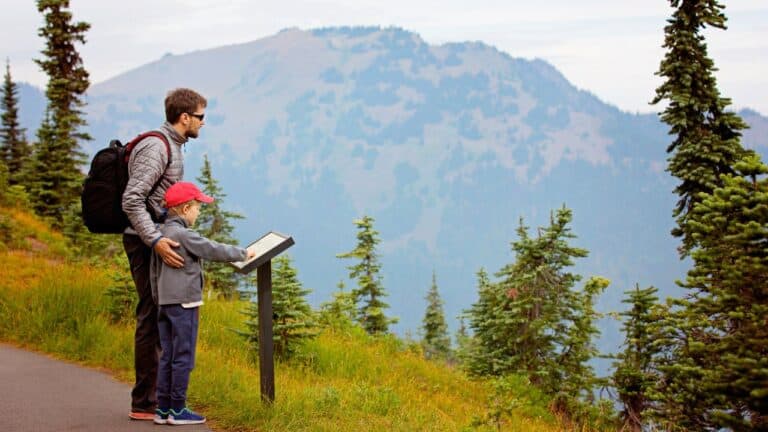 An adult and a child, the child wearing a red cap and the adult with a backpack, are standing at an informational sign, looking out over a misty mountain landscape with tall coniferous trees.