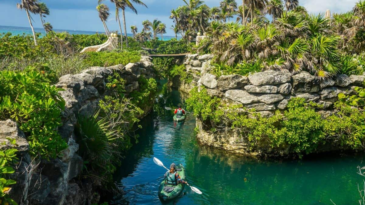 Two people kayaking through a narrow, serene waterway surrounded by lush greenery and palm trees, with the ocean visible in the background.