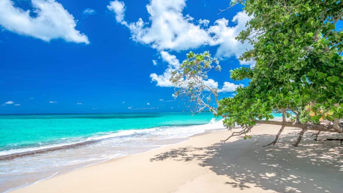 A pristine tropical beach with clear turquoise waters, white sand, and lush green foliage under a bright blue sky.