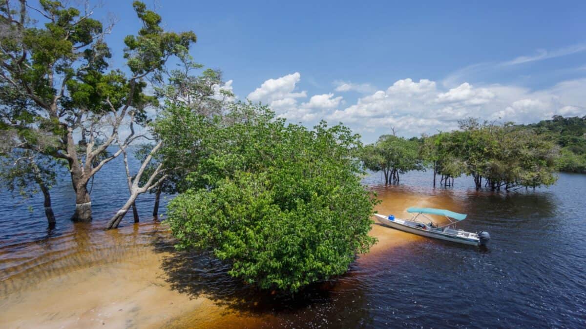 16 Survivor Locations that Would Actually Make Super Cool Vacation Destinations 18 A boat near the shore surrounded by trees.