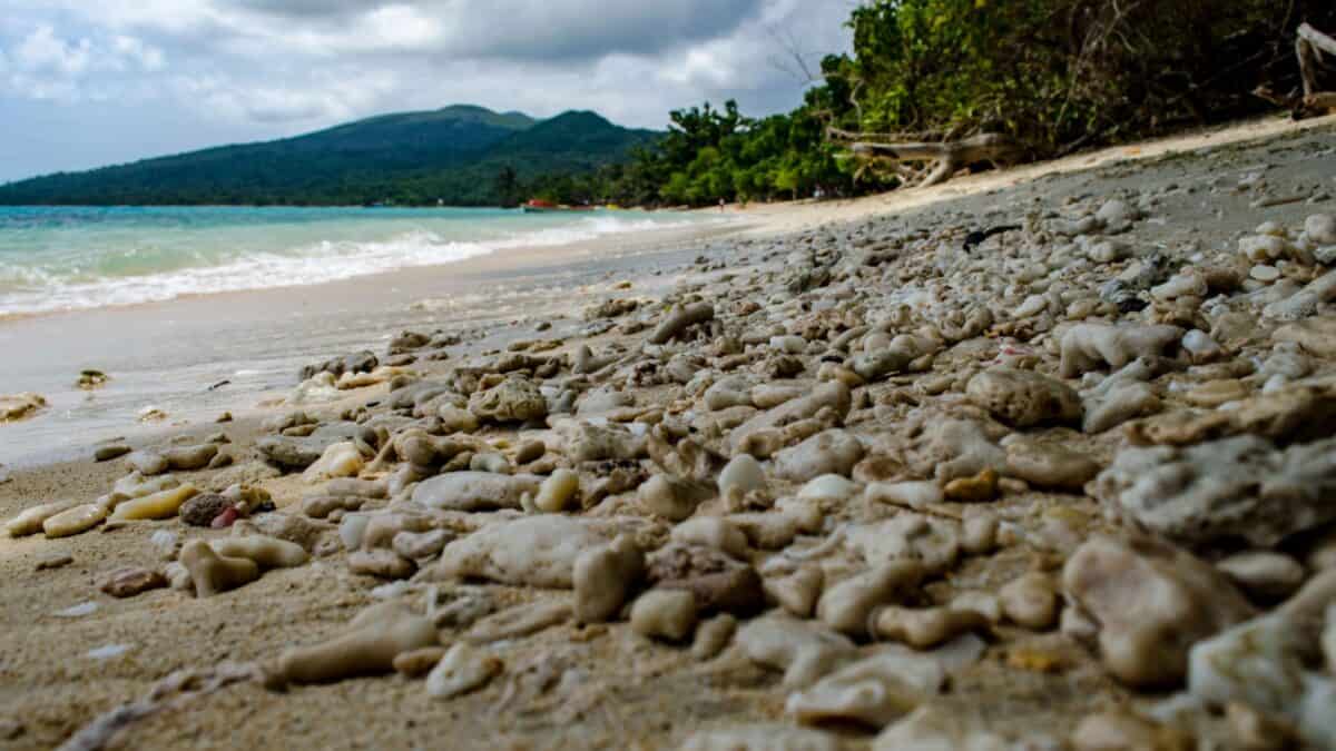 16 Survivor Locations that Would Actually Make Super Cool Vacation Destinations 8 Shore in Shefa with rocks.