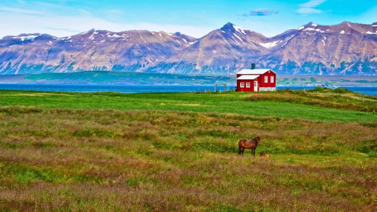 A red-roofed house in a vast green field with a horse in the foreground and mountainous backdrop by the sea.