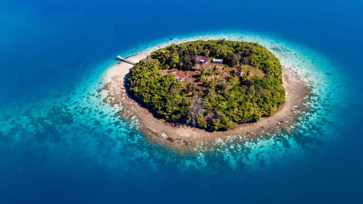 A tranquil private island surrounded by crystal clear turquoise waters, with a lush canopy of trees and a small dock reaching out into the sea.
