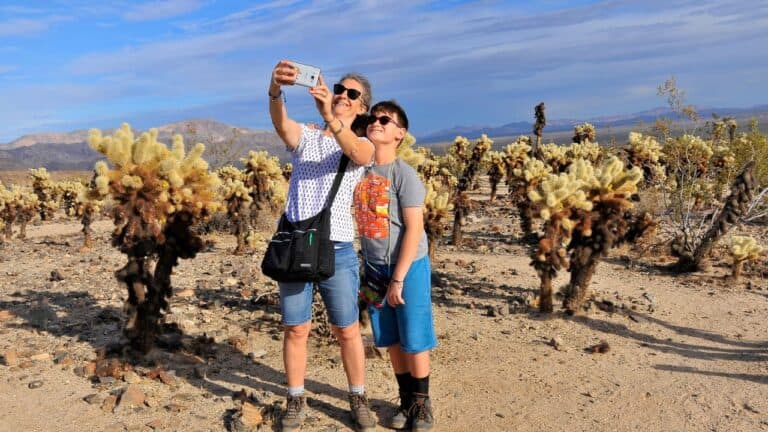 An adult and a child are taking a selfie together amidst a field of Joshua trees under a clear sky.