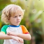 10 Safe, Natural Mosquito Repellents You Need to Try This Summer