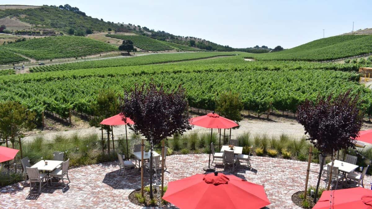 A winery scene with rows of grapevines on rolling hills in the background. In the foreground, there is a stone patio with several tables and chairs under red umbrellas. Trees and shrubs surround the patio area—one of those lesser-known California destinations truly worth visiting.