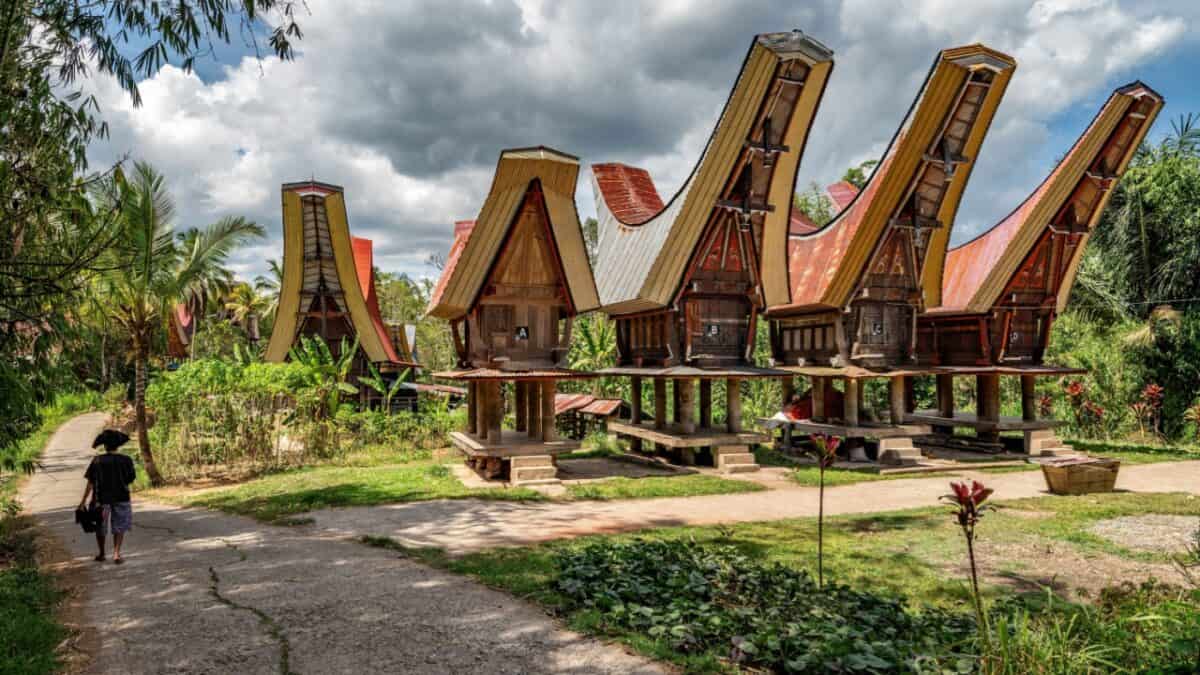 A small path flanked by greenery leads to traditional Indonesian houses with distinct boat-shaped roofs. The wooden structures, elevated on stilts, stand as a testament to the old ways. A person carrying a load on their back walks on the pathway in this remote village under a mostly cloudy sky.
