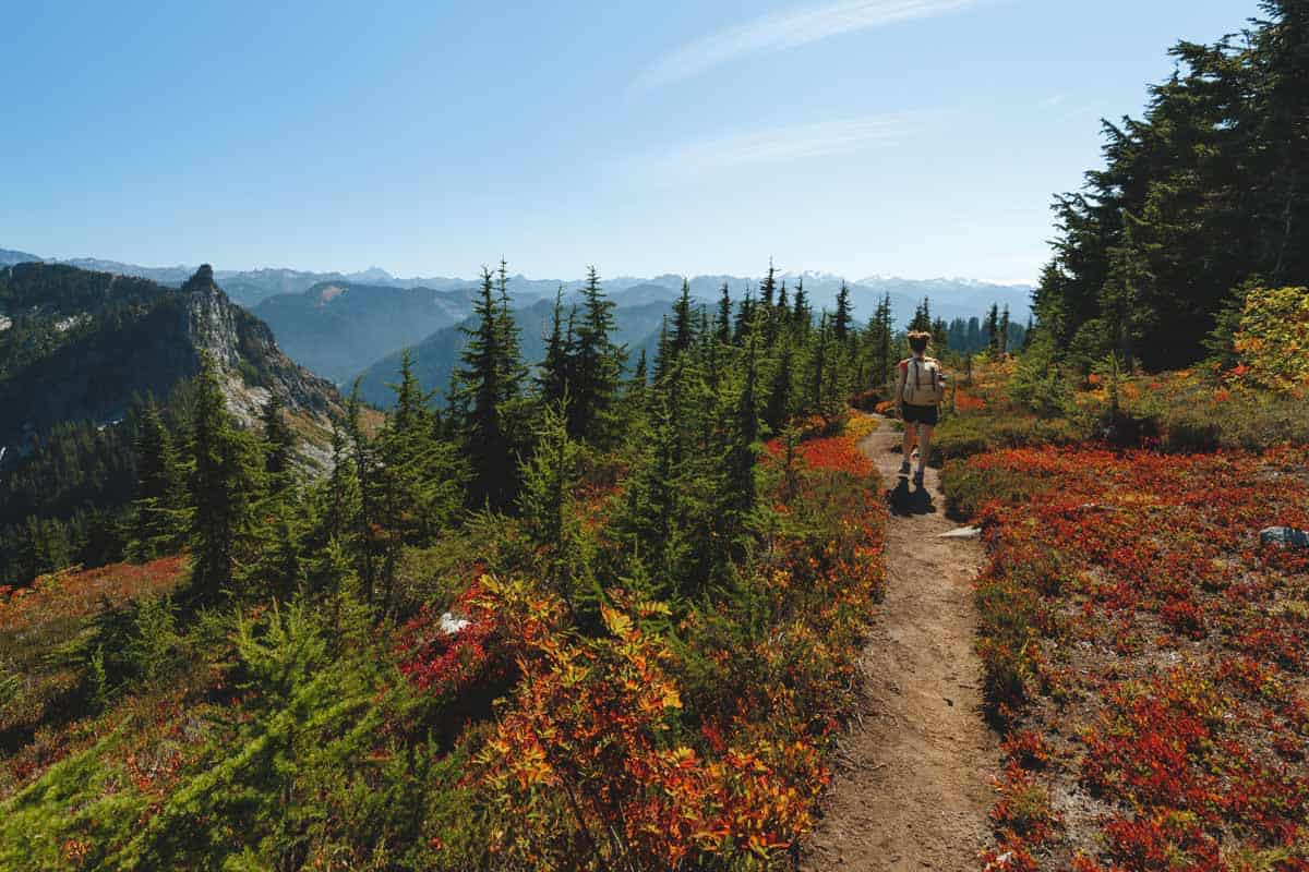 Hiking in the Mount Mccausland trail, one of the best hikes in Washington.