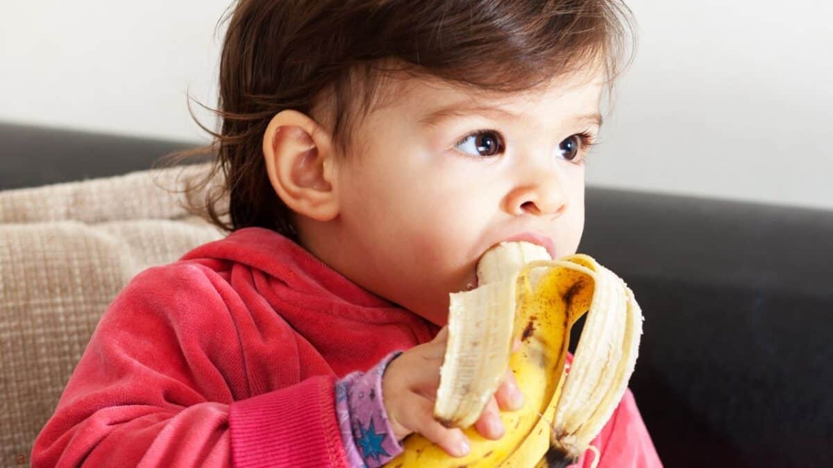 Then vs. Now: The Dramatic Price Changes of Everyday Items 19 Banana