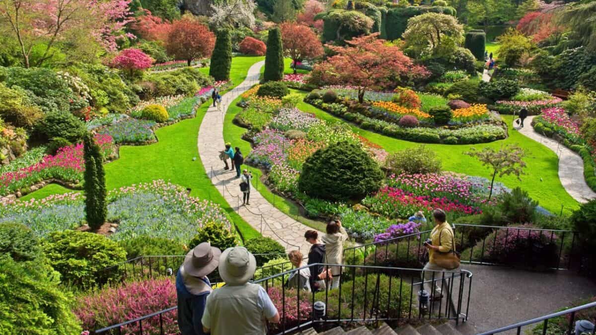 Butchart Gardens